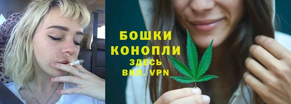 гидра Рославль