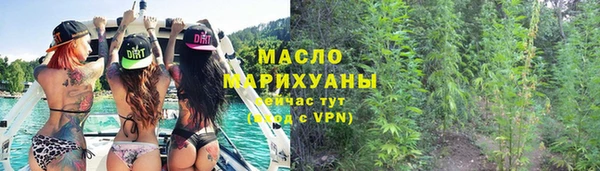 гидра Рославль