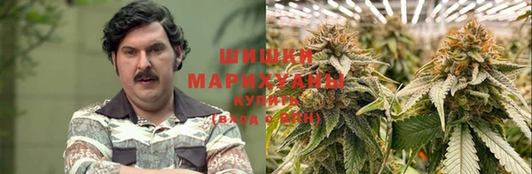 гидра Рославль